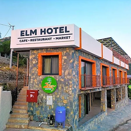 Elm 5*